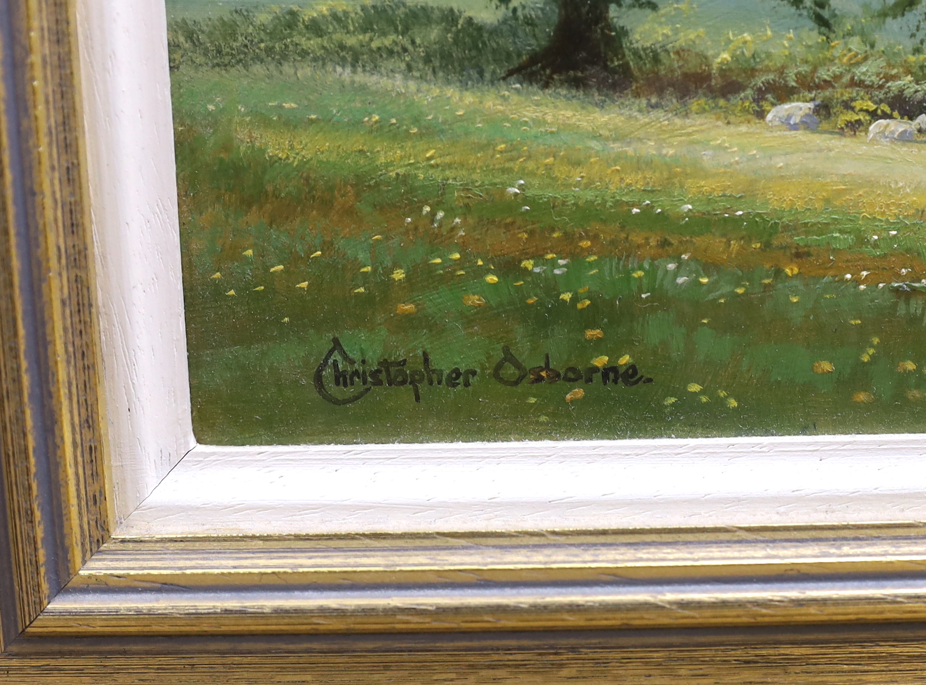 Christopher Osborne (b.1947), oil on board, 'Towards Wolstonbury Hill near Ditchling', signed, details verso, 19 x 29cm